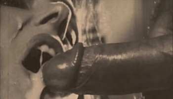 sexy fensterputzer
