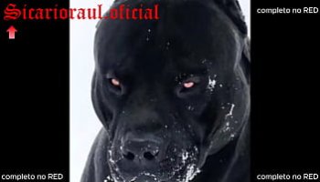 cum during deepthroat