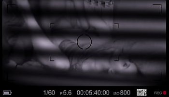 video donne con trans