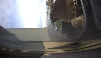 sex auf der couch