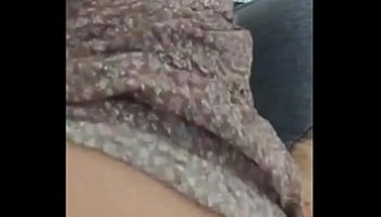 porn animay