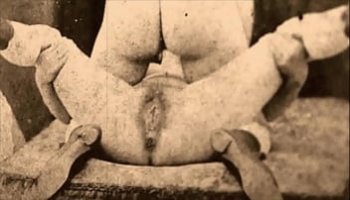 sexo porbo