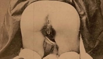 free amature porn vids