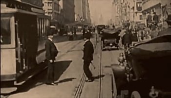 videos gratis cerdas