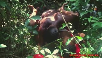 hd videos largos de abusadas