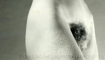 que es scort