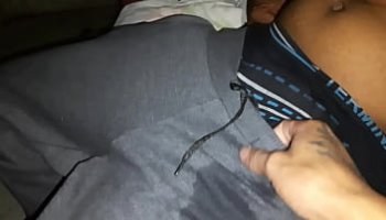 bang bros new porn