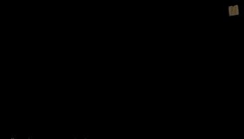 Docti