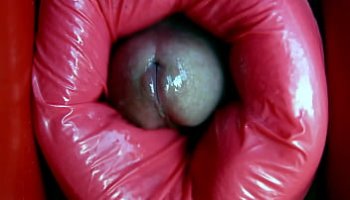 gifs menage
