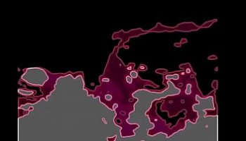 escort savona