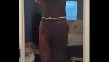 Xxxbdohd