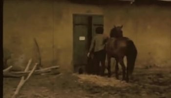 videos sexo oculto