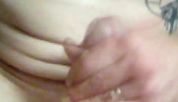 anal orgamos