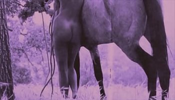 lesdias porn video