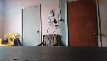 trans film
