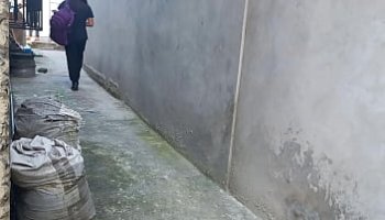 folla de ninas